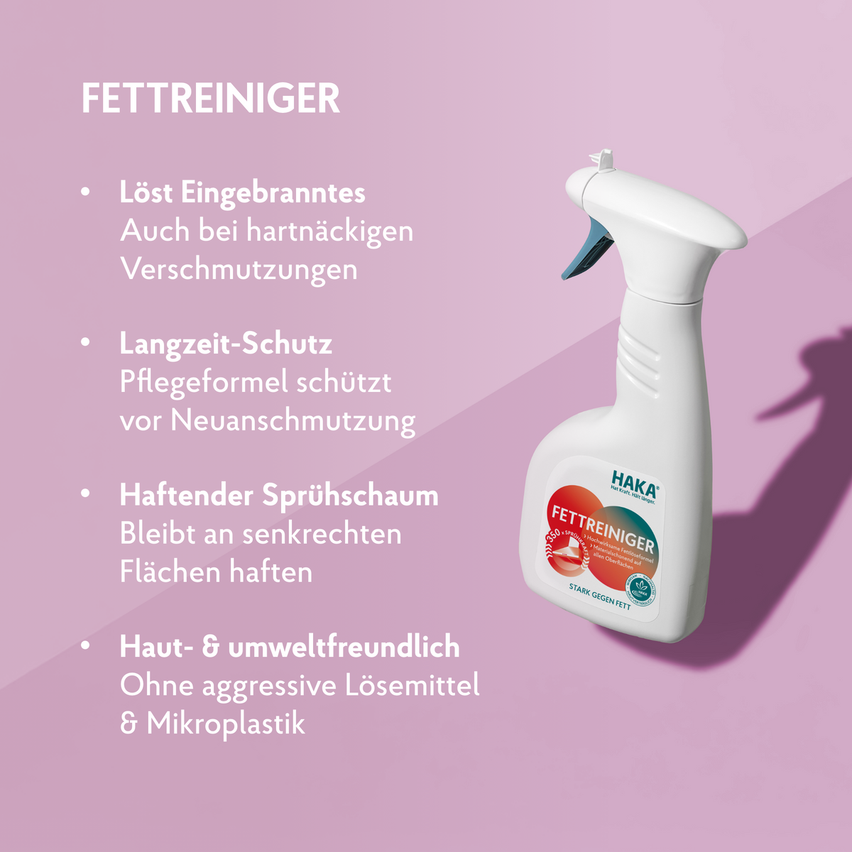 Grillreiniger Set