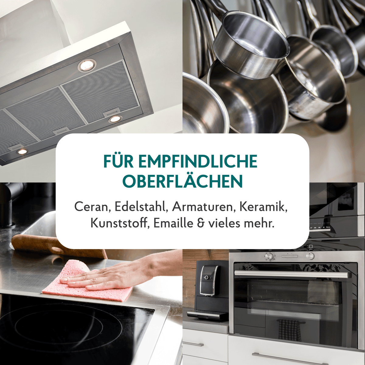 Grillreiniger Set