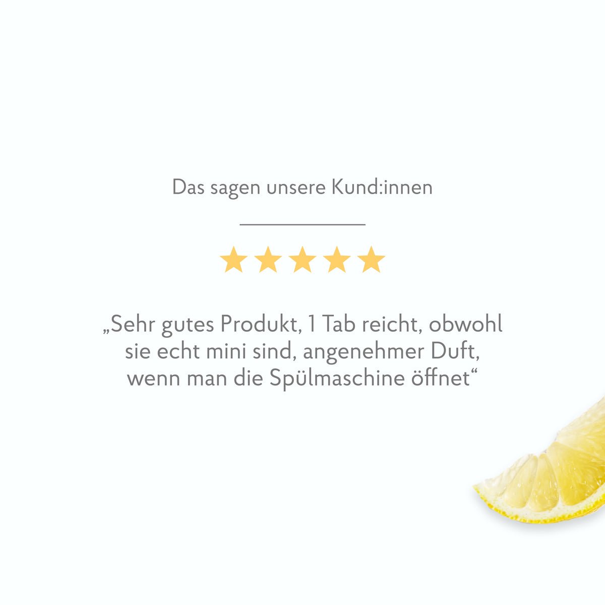 Bewertung Spülmaschinen Mini Power Tabs